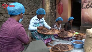 Zone de libre-échange continentale Africaine / Santé des troupeaux / Pisciculture