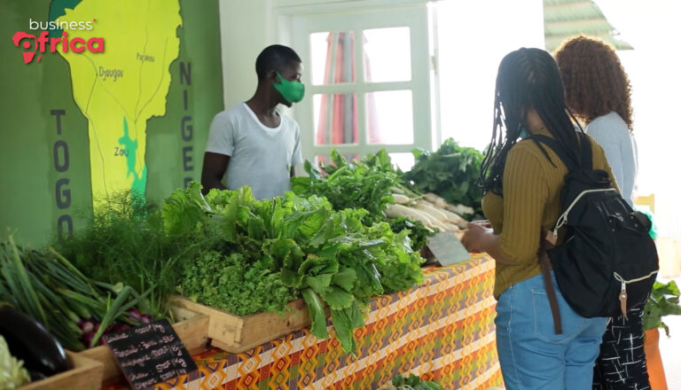 Agriculture: Organic Gardens of Hope in Benin