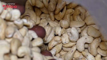 Cashew nuts boom in West Africa