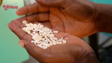 Food self-sufficiency in the Congo