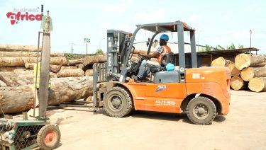 Gabon : vers une industrialisation plus respectueuse de l’environnement