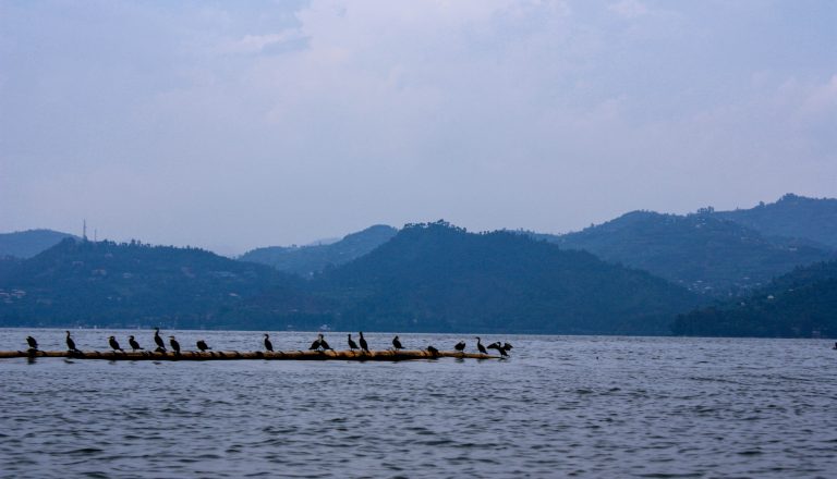 RDC : le gaz du lac Kivu, une chance énergétique pour le pays ?