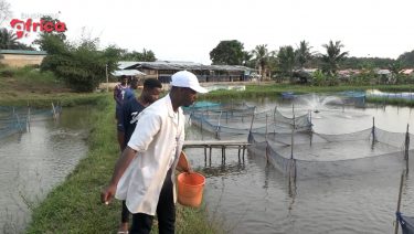 Côte d’Ivoire focuses on the fishing industry