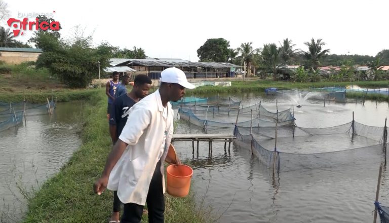Côte d’Ivoire focuses on the fishing industry