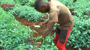 Agrix Tech, a start-up designed to help farmers