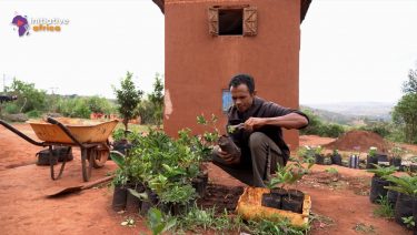 Better ways of managing Madagascar’s tapia forest