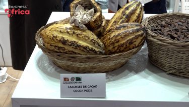 Un sommet pour le monde du cacao en crise