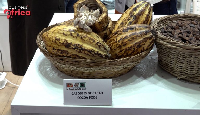 A summit for the cocoa sector in crisis