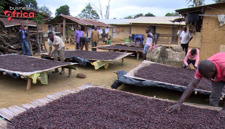 Cameroon’s coffee and cocoa industries making progress