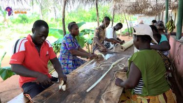 From bananas to wicks: Benin’s incredible ecological revolution