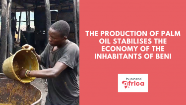 The production of palm oil stabilises the economy of the inhabitants of Beni