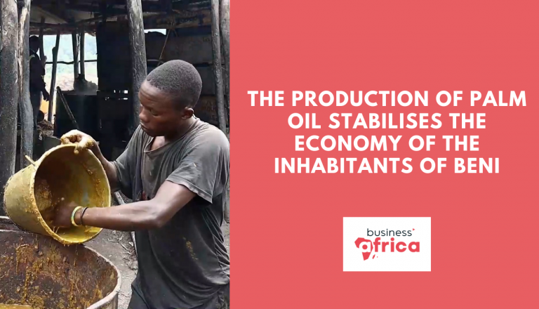 The production of palm oil stabilises the economy of the inhabitants of Beni
