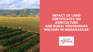 Impact of Land Certificates on Agriculture and Rural Households Welfare in Madagascar